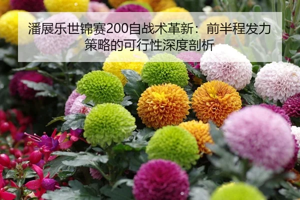 潘展乐世锦赛200自战术革新：前半程发力策略的可行性深度剖析