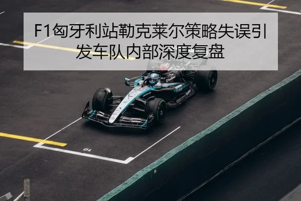 xiong-ya-li-zhan-lei-ke-lai-er-ce-lve-shi-wu-yin-fa-che-dui-nei-bu-shen-du-fu-pan-3-237.jpg