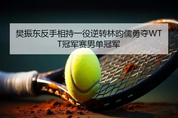樊振东反手相持一役逆转林昀儒勇夺WTT冠军赛男单冠军