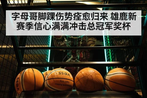 字母哥脚踝伤势痊愈归来 雄鹿新赛季信心满满冲击总冠军奖杯